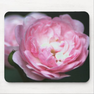 Pink Rose Mousepad! Mouse Pad