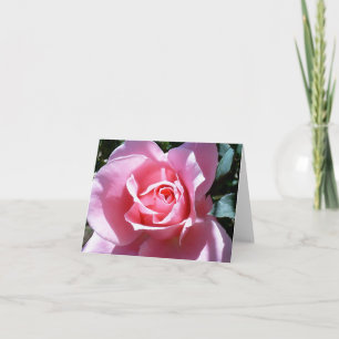 Pink Rose  Note Card