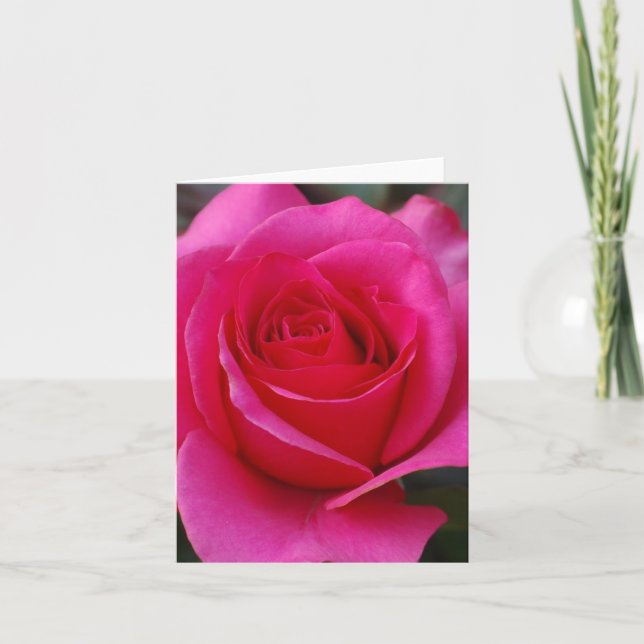 Pink Rose Note Cards (Front)