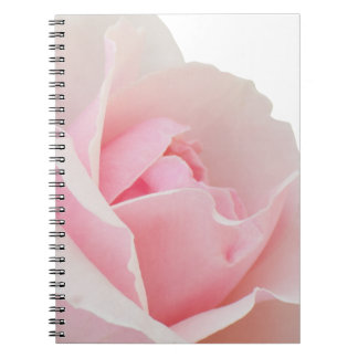 Pink rose notebook