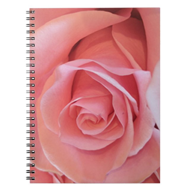 Pink Rose Notebook (Front)