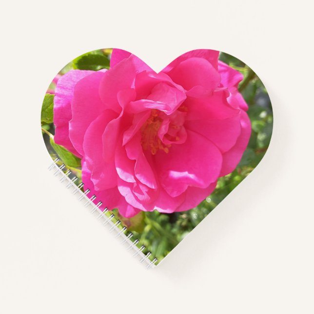 Pink Rose Notebook (Front)