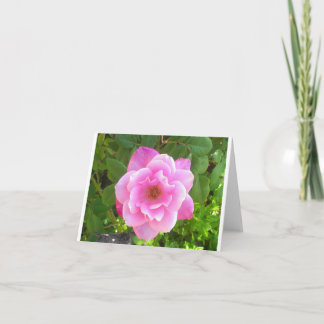 Pink Rose Notecard