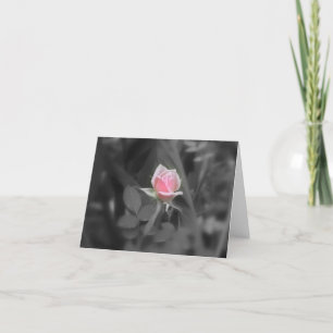Pink Rose NoteCard (blank inside)