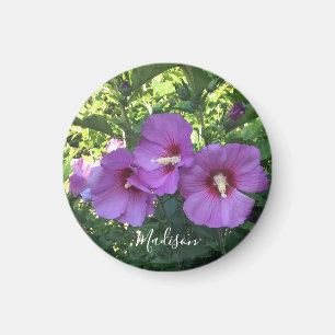 Pink Rose Of Sharon Floral Photography Magnet