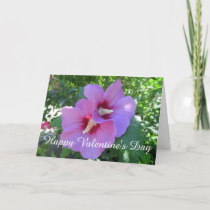Pink Rose of Sharon Photo Valentine's Day Holiday Card