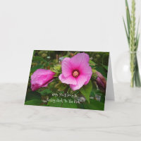 PINK ROSE OF SHARON/WISHING YOU A SPEEDY RECOVERY