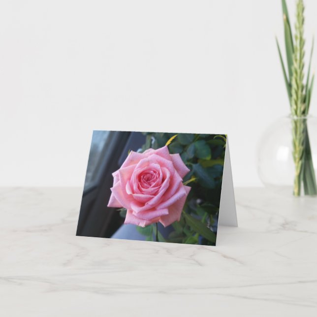 Pink rose on a blank note card (Front)