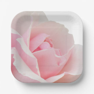 Pink rose paper plate