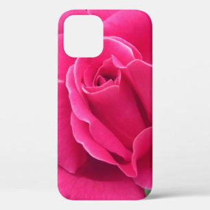 Pink Rose Petals iPhone 12 Case
