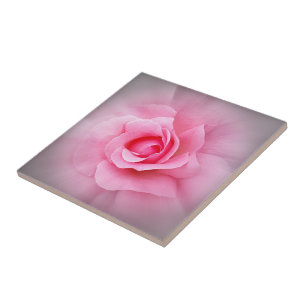Pink rose petals ceramic tile