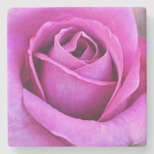 Pink Rose Petals Flower Art Coaster