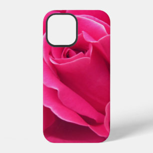 Pink Rose Petals iPhone Case