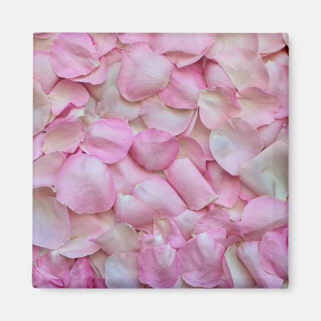 Pink Rose Petals Magnet (Front)