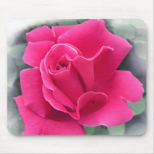 Pink Rose Petals Mouse Pad