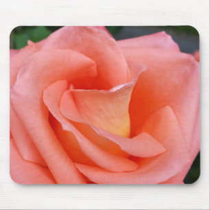 pink rose petals mouse pad