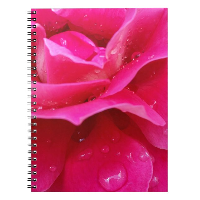 pink rose petals notebook (Front)