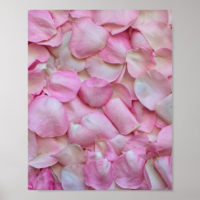 Pink Rose Petals Poster (Front)