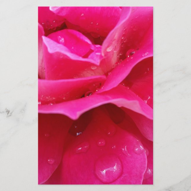 pink rose petals stationery (Front)