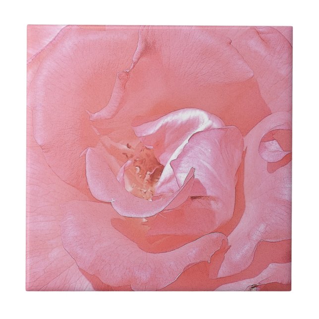 Pink Rose Petals Tile (Front)