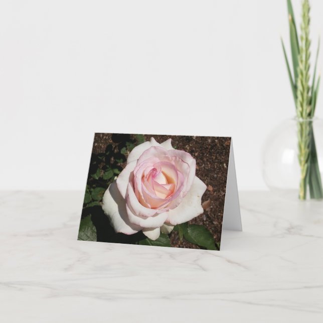 Pink Rose Photo Folded Note Card (Front)