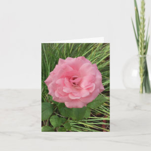 Pink Rose Photo Folded Note Card