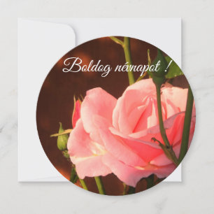 Pink rose photo - Hungarian name day Card