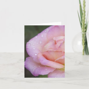 Pink Rose Photo Note Card