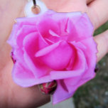 Pink Rose Photo Sculpture<br><div class="desc">My sample photo was taken of an actual keychain that I purchased. The keychain is very durable and it still has keys on it after years of use. The cut out pink rose photo was taken in a rose garden I visited in Portland, Oregon. Two unopened buds with the isolated...</div>