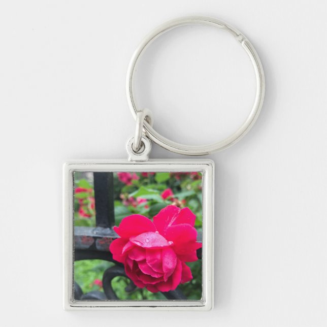 Pink Rose Raindrops Dew Garden Gate Photo Key Ring (Front)