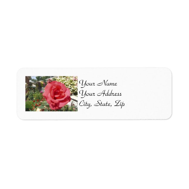 Pink Rose Return Address Label (Front)