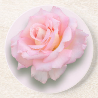 Pink Rose 'Scentsation' Coaster