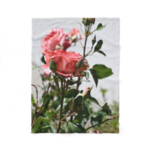 Pink Rose Soft Blanket