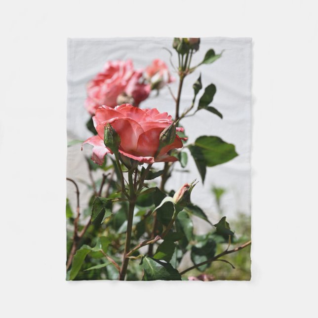 Pink Rose Soft Blanket (Front)
