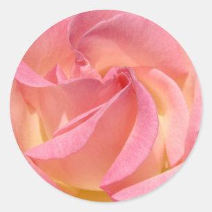 Pink Rose Spiral stickers Envelope seals weddings