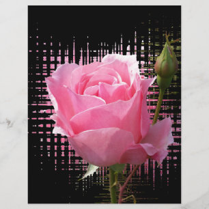pink rose splash