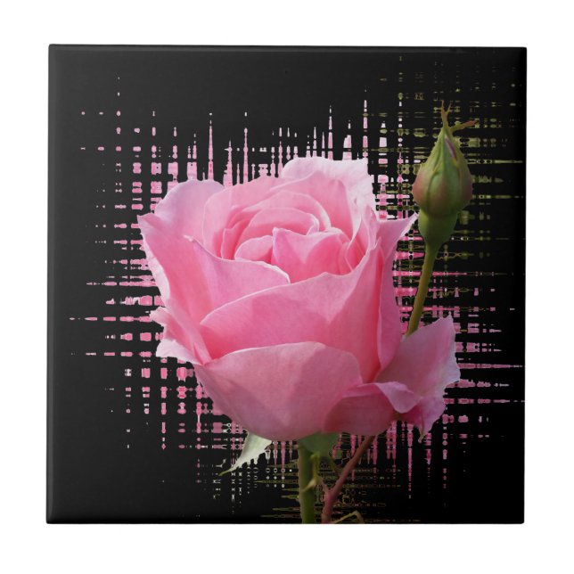 pink rose splash ceramic tile (Front)