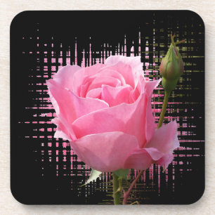 pink rose splash coaster