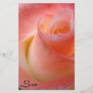 Pink Rose Stationery Floral Love Valentines