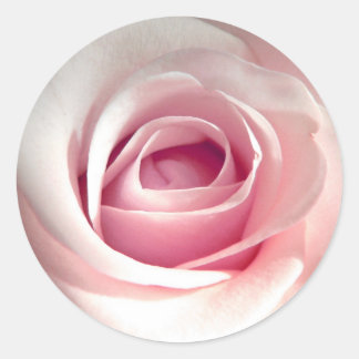 Pink Rose Stickers