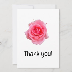 Pink rose  thank you card