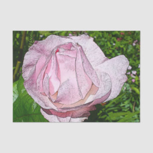 Pink Rose Tissue Paper