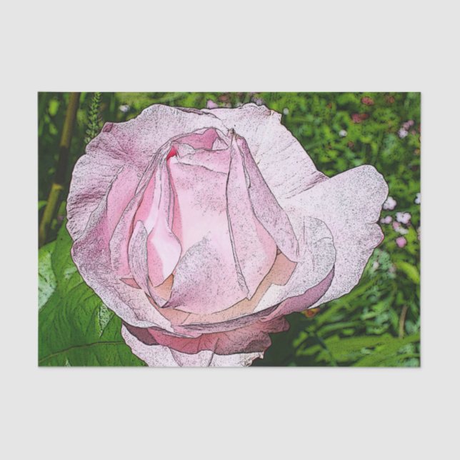 Pink Rose Tissue Paper (Front)