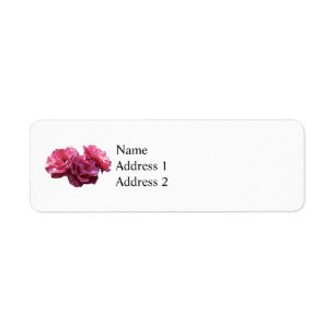 Pink Rose Trio Return Address Label