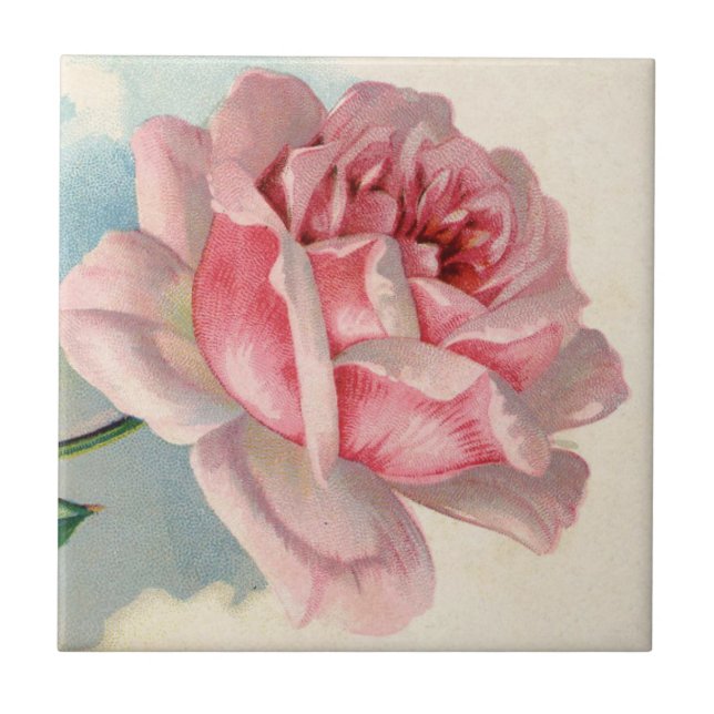 Pink Rose Vintage Ceramic Tile (Front)
