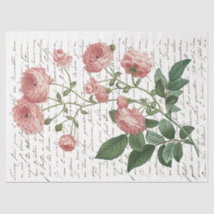 Pink Rose Vintage French Script Gold Lg Decoupage Tissue Paper