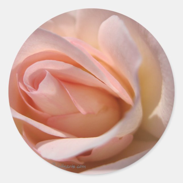 Pink Rose Wedding Invitation Seal (Front)