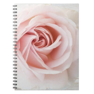 Pink Rose & White Wood Shabby Chic Farmhouse Glam Notebook