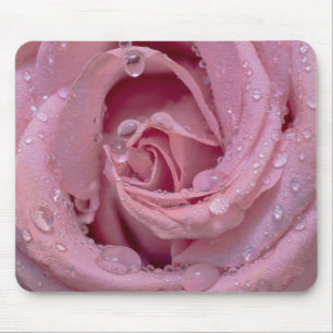 Pink Rose with Dewdrops Mouse Pad