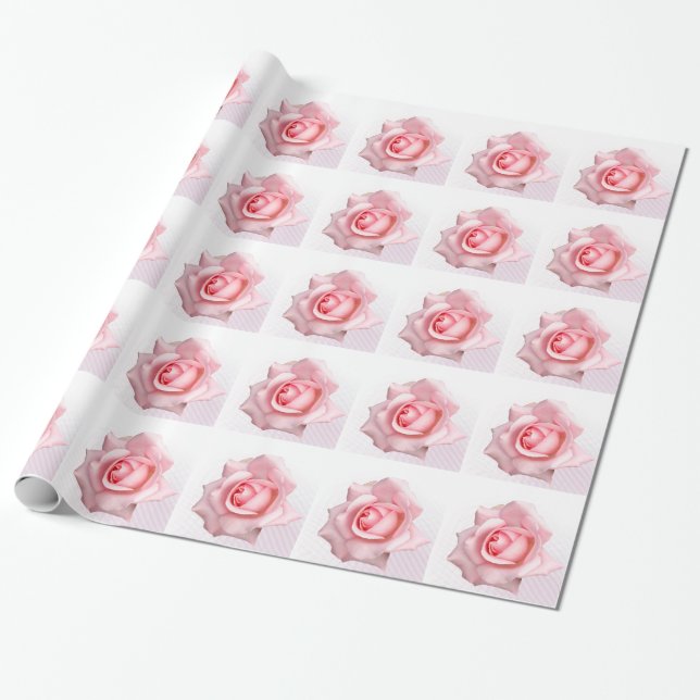 Pink rose wrapping paper (Unrolled)